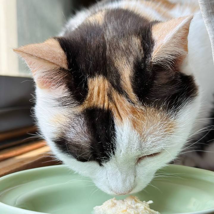 Bf59e797 7e93 4375 9c0b ac3c5e510064 1691196673599