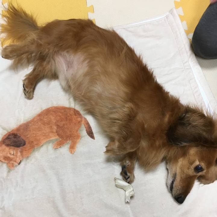 Bf59e9a7 a135 427a b56f 54bbdf08a6ac 1642224935492