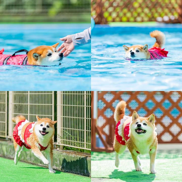 Bf59fcef 9a18 4f38 a15f ceff88f8ac2e 1696697164948