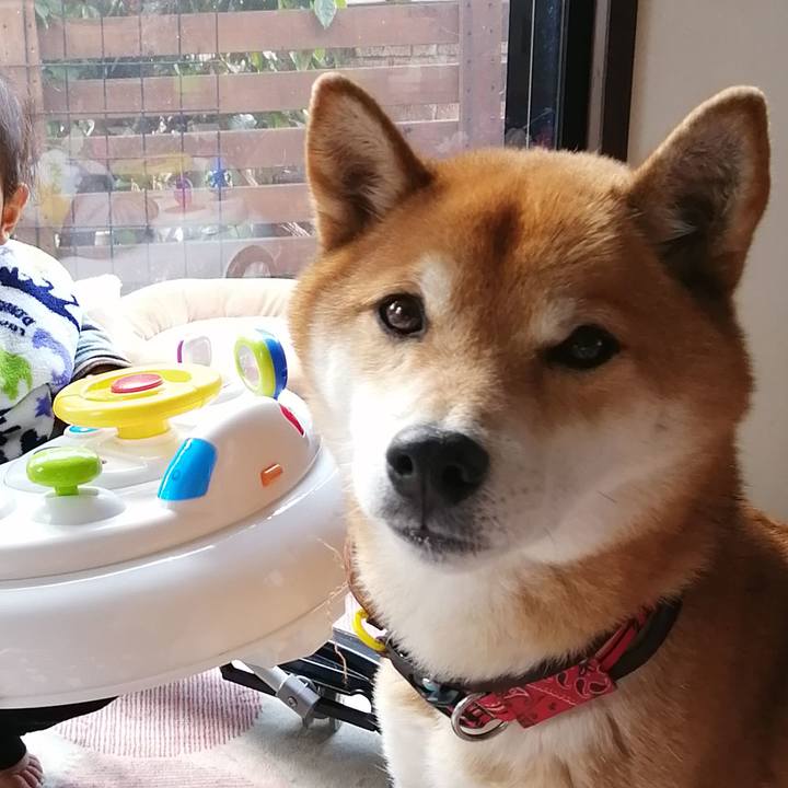 Bf5a335b 8a51 43a2 9753 874dd1a6758a 1642993516702