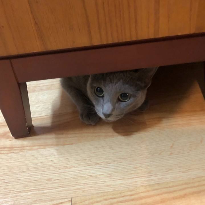 Bf5a6e15 de05 4355 85a8 101e11f773bd 1628822718148