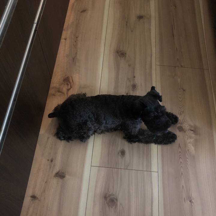 Bf5a8665 8bb4 4447 95c4 322e76eb7d14 1564111510193