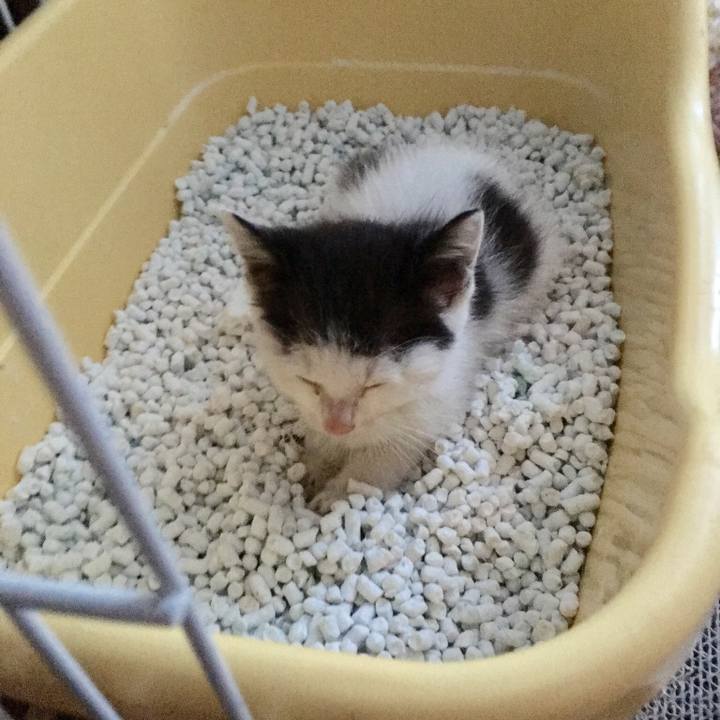 Bf5a891f 6201 42fa ae35 afaaf4391fed 1529236076784