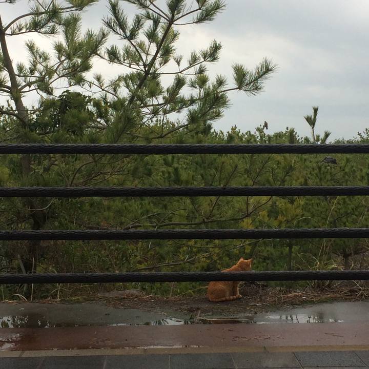 Bf5ab513 ac21 4598 9bf6 c5539bbf5d08 1520229170956