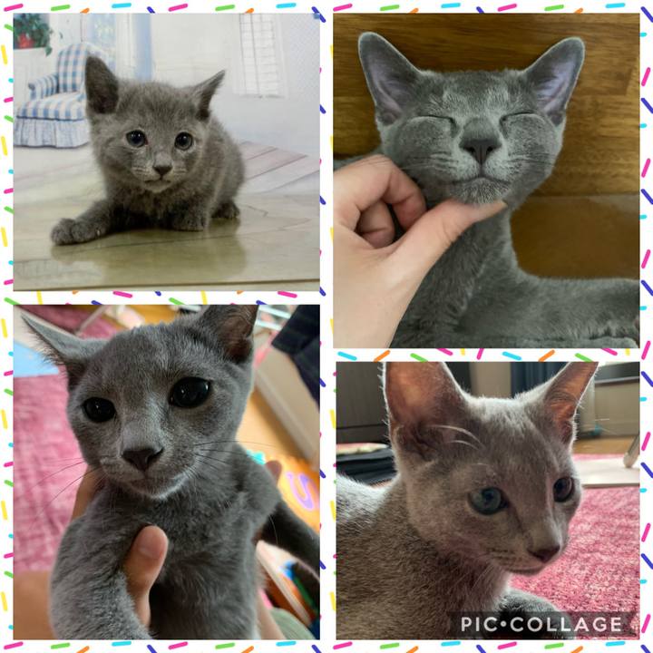 Bf5af902 c609 4776 973a c717eb86ee26 1597390797189