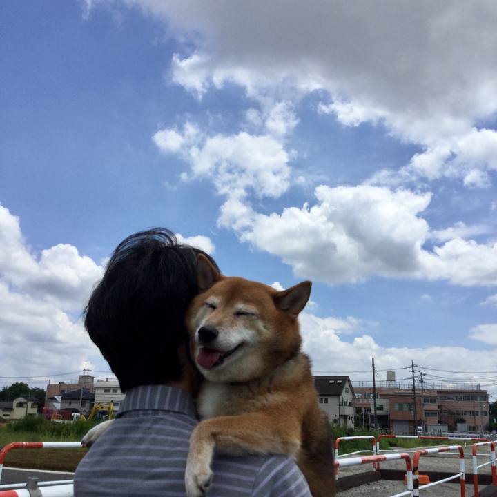 Bf5b5a39 8775 4307 9a4b 69cb1bceffad 1596337950687