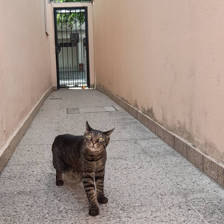 Bf5b64f0 5764 4db8 867e c144d9888520 1771121298139