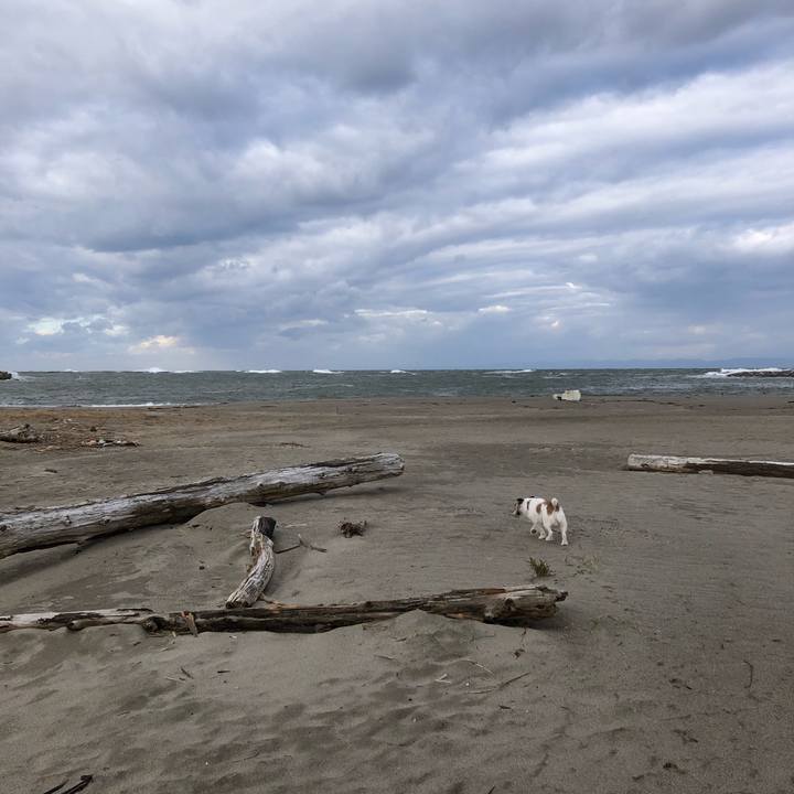 Bf5b91b7 09f3 44d9 9598 516fd7021907 1603493573472