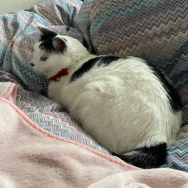 Bf5bb478 6cc6 4a85 8195 8d263d9fcbcb 1616203612026