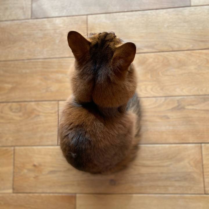 Bf5bf0eb 33e9 49ea b4ca 8b7fa189c74a 1706147779290