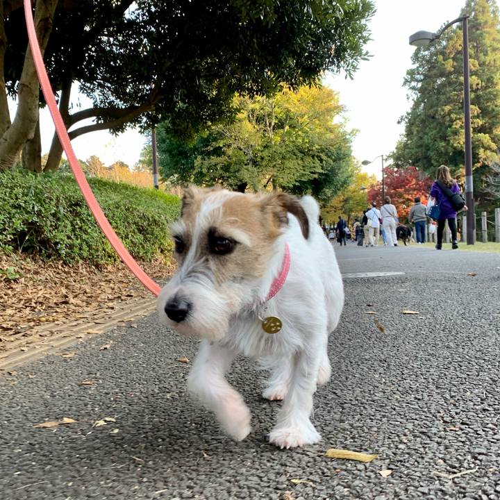 Bf5bf8a9 1962 453c bf47 f8e8bb866b3f 1605471294053