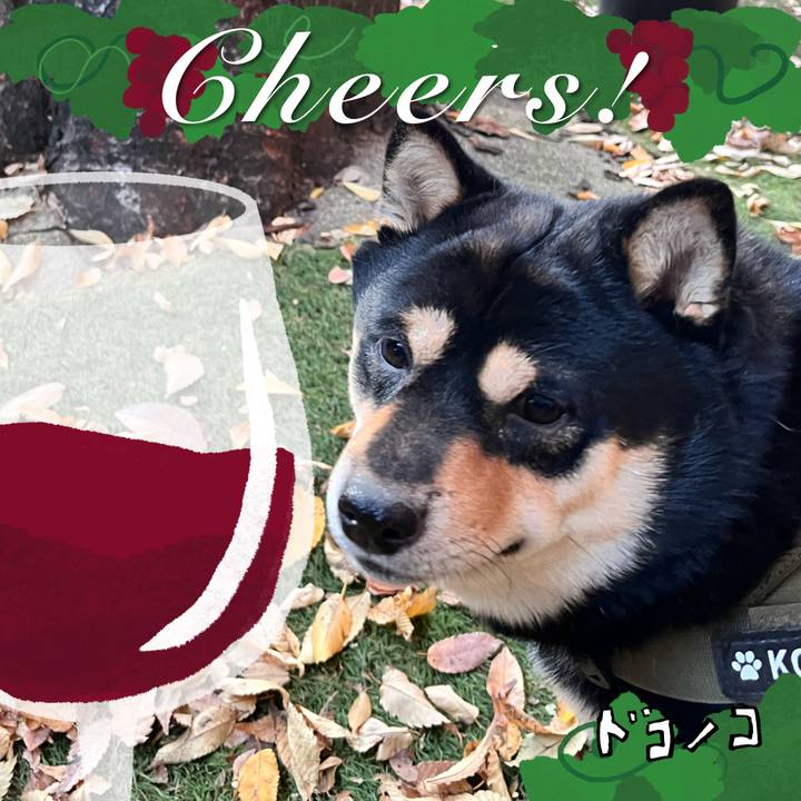 Bf5c0681 6b08 4083 ad37 c540eaded103 1763617281759