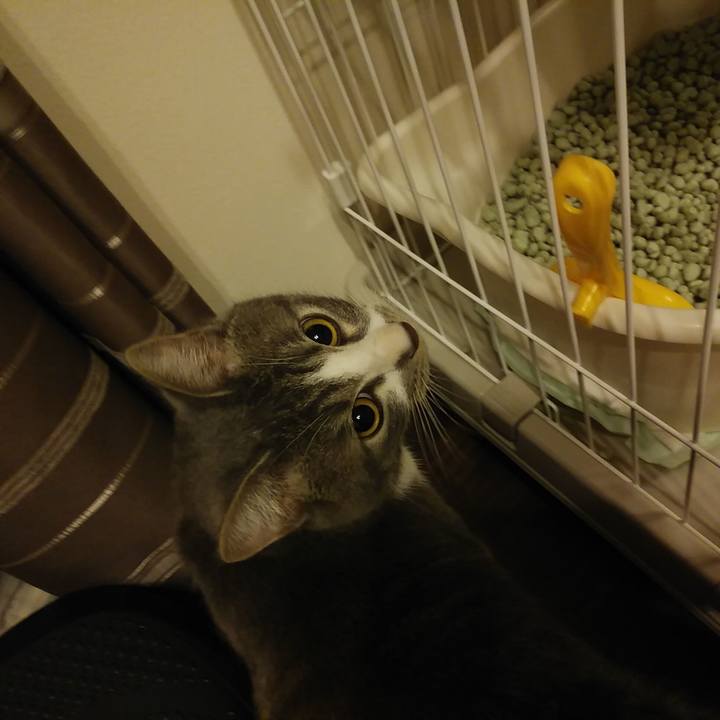 Bf5c3c6b ec1b 4ca9 b3bd b0e27b817ea2 1577714783261