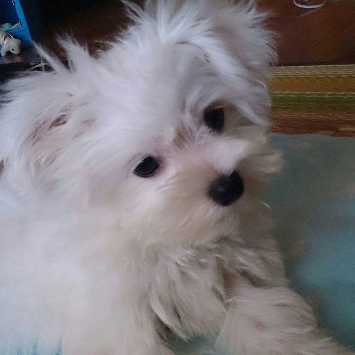 Bf5c440b f287 4835 83bc 9c44d7f40252 1524059708933