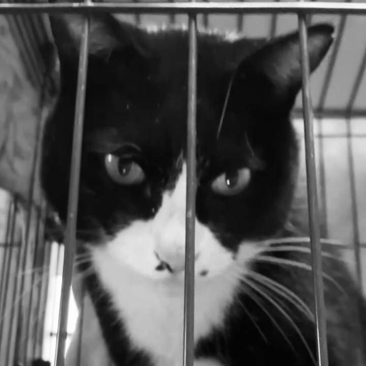 Bf5c6339 64b0 4086 b320 40f0ae7a6449 1740710958026