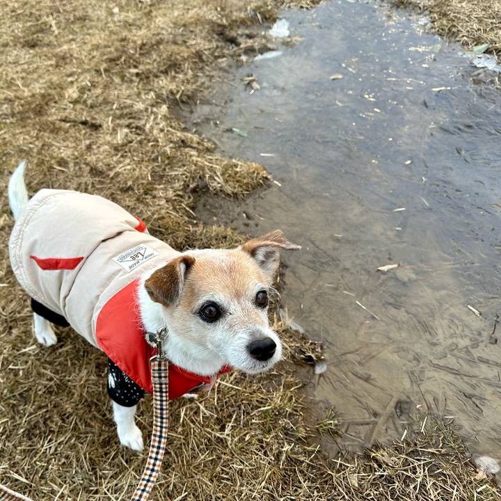 Bf5c87c7 8fa6 4e85 b112 d7aad2e712e0 1676415937103