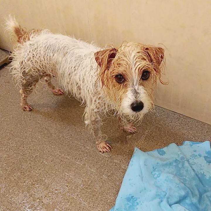 Bf5caa00 5d54 4521 9d38 2db23b482642 1576910155593