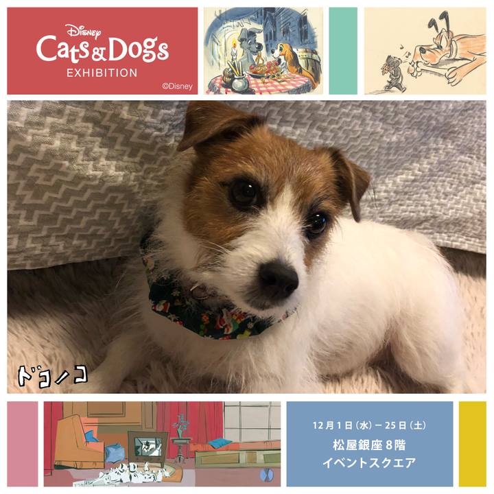 Bf5cbbed acfc 499f ae30 ac6152c17f6c 1639276328858