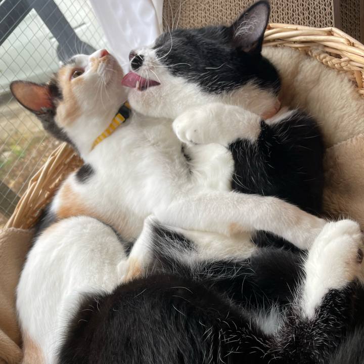 Bf5cbc10 75b3 4594 a745 c095817f233b 1665534153804