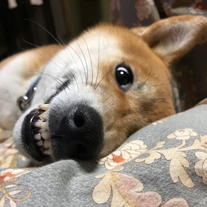 Bf5cbd01 6a9f 4104 a871 1a9c67ed2142 1586776794569