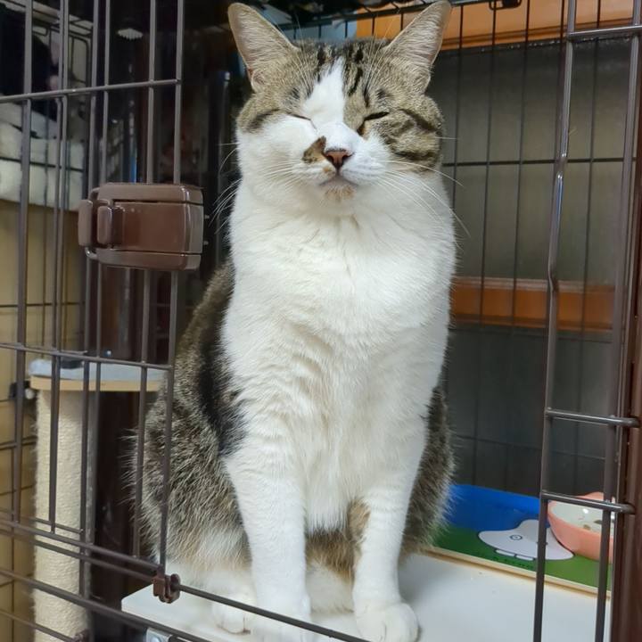 Bf5ce54c 5c0e 4646 926e 5c0b93a57209 1666002431906