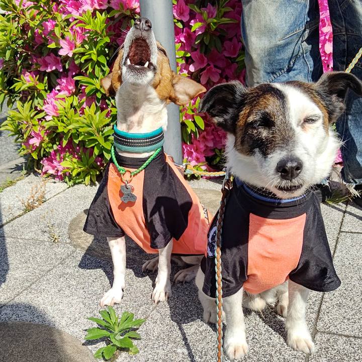 Bf5ce98c 0df5 467f 9139 421fb1c5651a 1714779628057