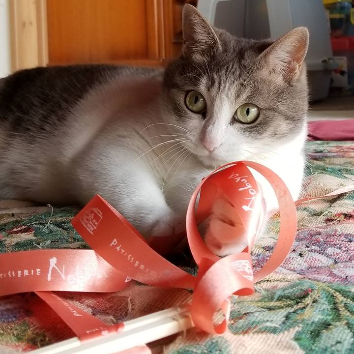 Bf5cf985 8e17 4a96 a6a5 70e5adf7ba63 1529972827939