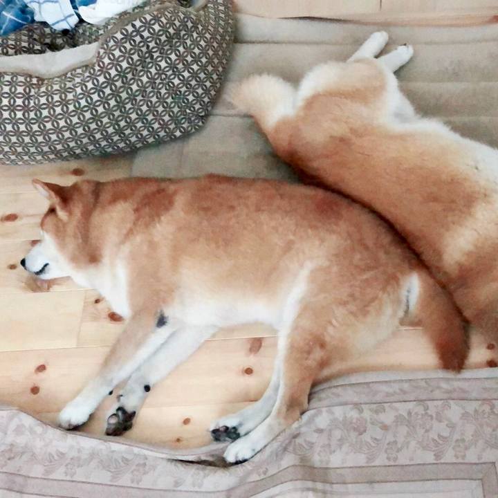 Bf5cfacc 9fb7 4756 881e 372b5f10647f 1535669489316