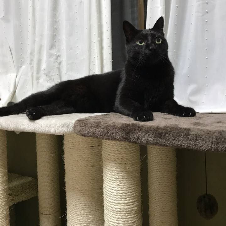 Bf5d354d c957 4211 84b7 657c51ba1d54 1524446856634