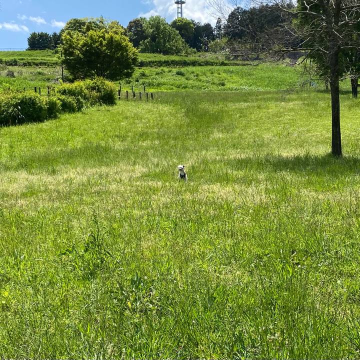 Bf5d7ea1 00d9 4ad8 a529 fe4f10e110ab 1652963985992