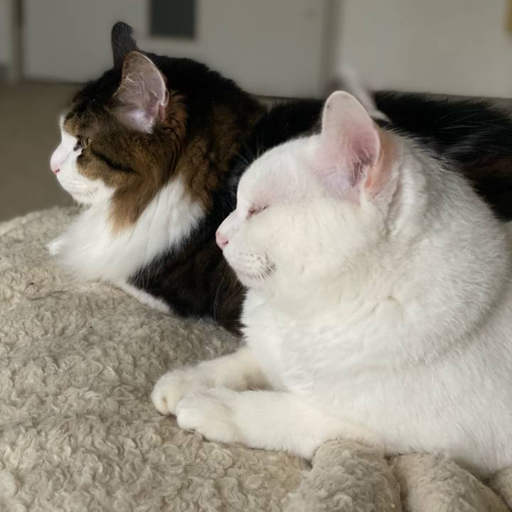 Bf5d8f37 3aea 4fd1 aec3 d3d43784df95 1664490921508