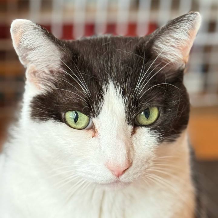 Bf5d9730 3c1b 4572 b127 eeb52476641b 1748658702659