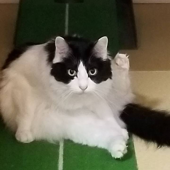 Bf5dd5e6 4a3f 4edb b0a5 02c5cfbed8be 1576668747044