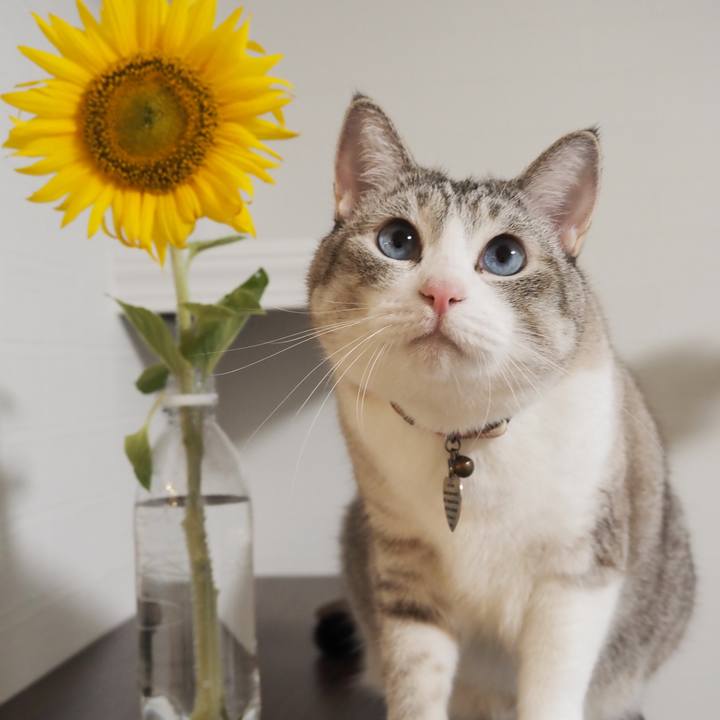 Bf5e2b79 0bf9 4ab8 b301 ba4ddca7c850 1597052152870