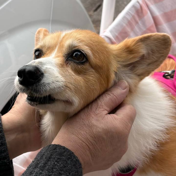 Bf5e5456 2aaf 4b5e 9e8f 2cb396ca898b 1734057450260