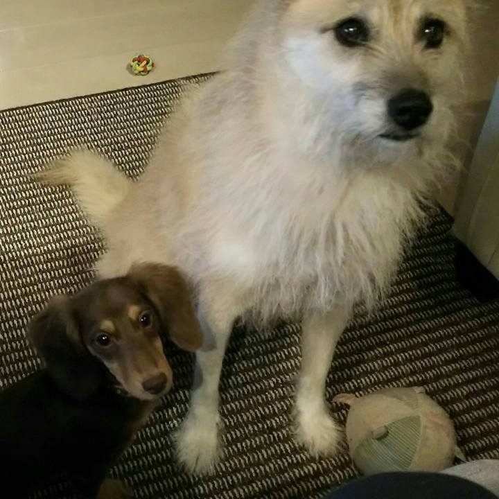 Bf5e65f6 80d4 4f74 ab90 e0f7794ae126 1541165689876