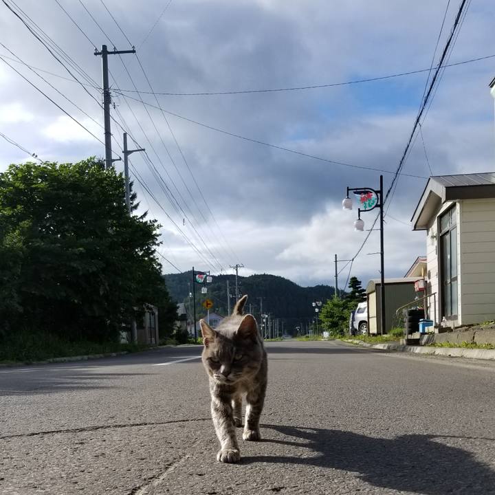 Bf5e896d 1c58 4c52 96fb 4ef3bc87ce85 1536155065449