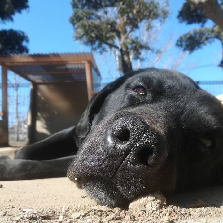 Bf5eee1e 81db 40c1 a9f8 5856ac5c2cb8 1518920065579