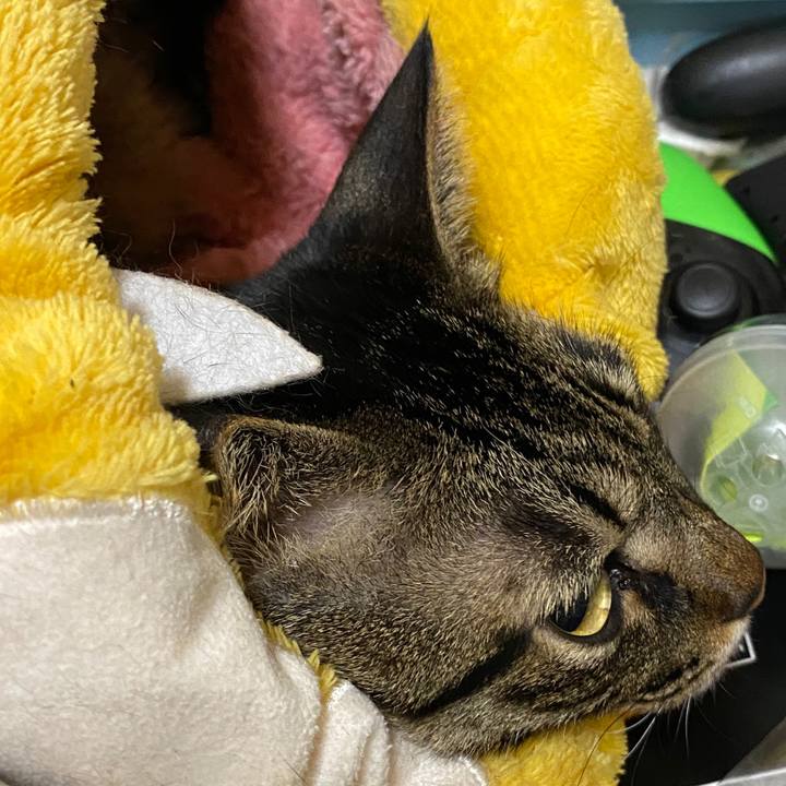 Bf5ef6a6 6747 4ea7 a508 8a72ef379246 1606780006618