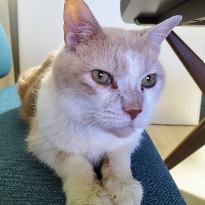 Bf5f0d5a b031 4e86 9c55 68add9bbc6dd 1684757722664