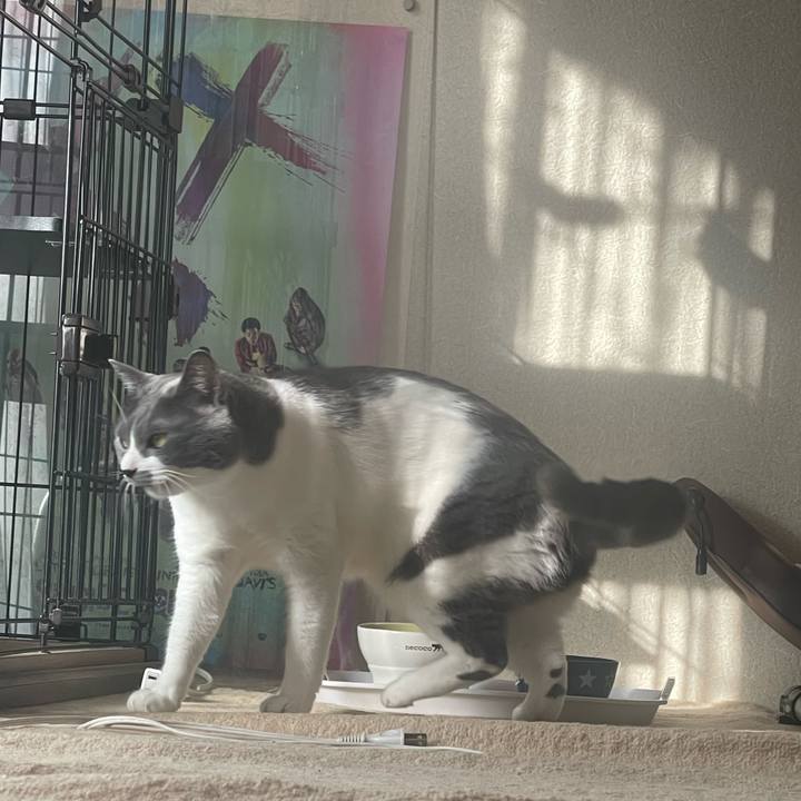 Bf5f1c64 6698 4366 b767 c863c082c2a1 1697671021482