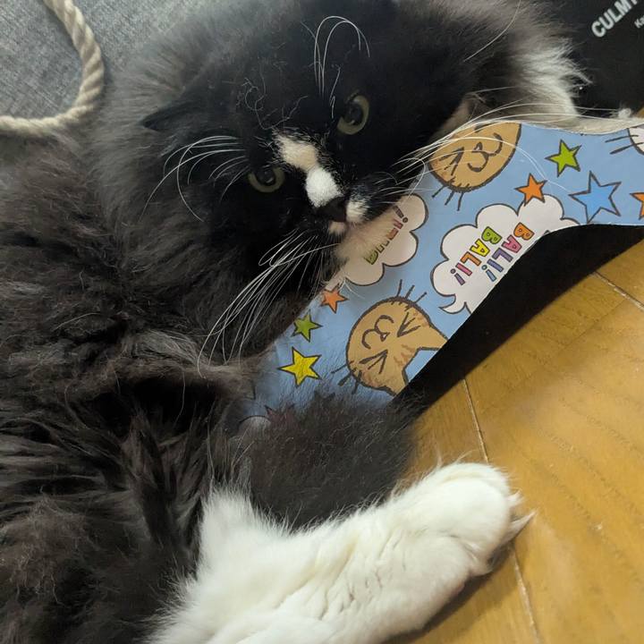 Bf5f2a82 7a78 451d 859a 190f02a6101b 1758966345178