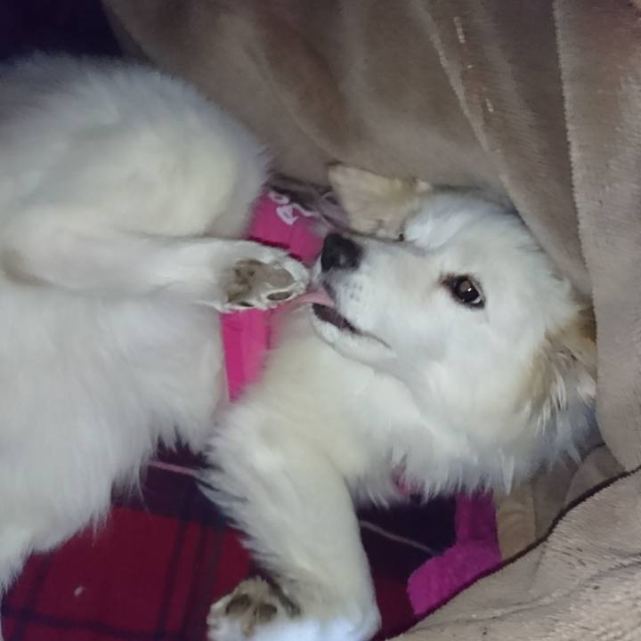 Bf5f2f51 3d1c 451c a285 66b8464adf21 1516566925511