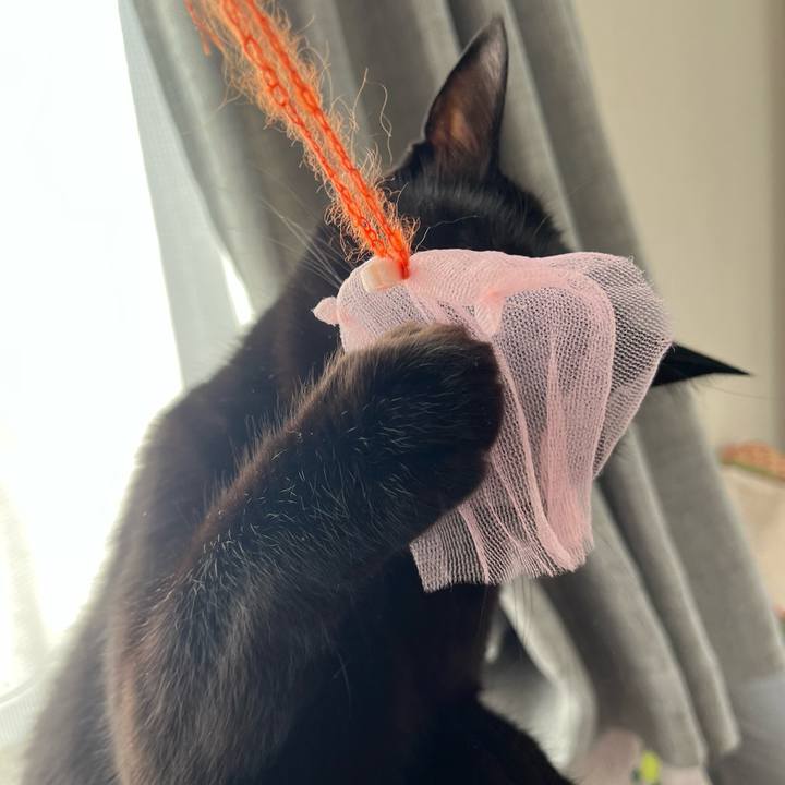 Bf5f5a26 d68f 4440 a35c cfa2c036cb3f 1734937075168