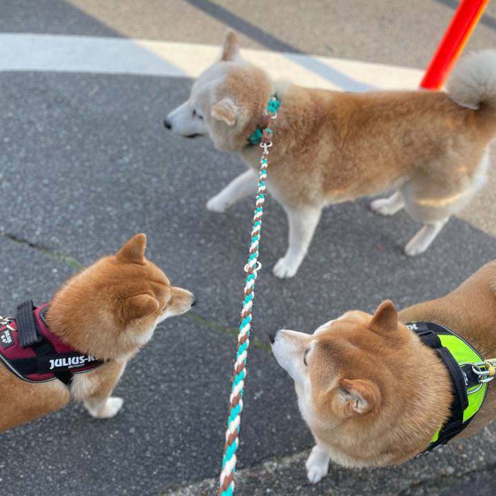 Bf5f5b89 fc04 49b3 959b 6b0e3eecf792 1646715427869