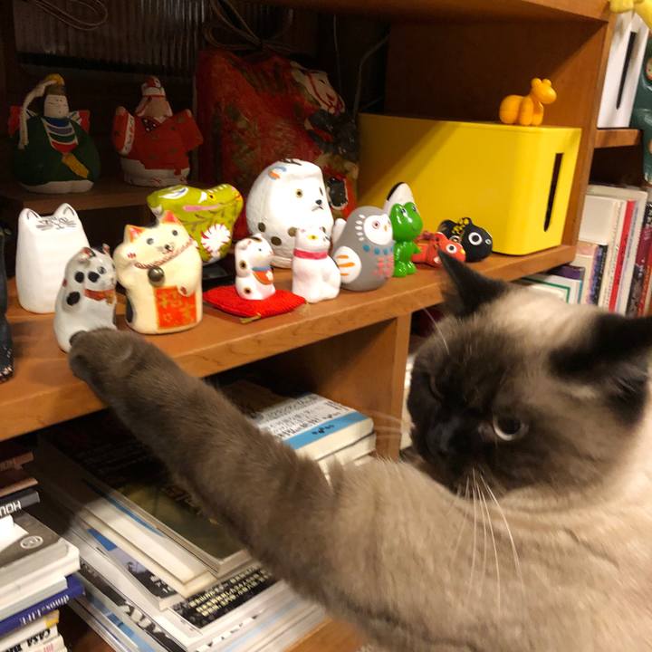 Bf5f66ad ee58 4753 ab8b c22a6b605cde 1609550781435