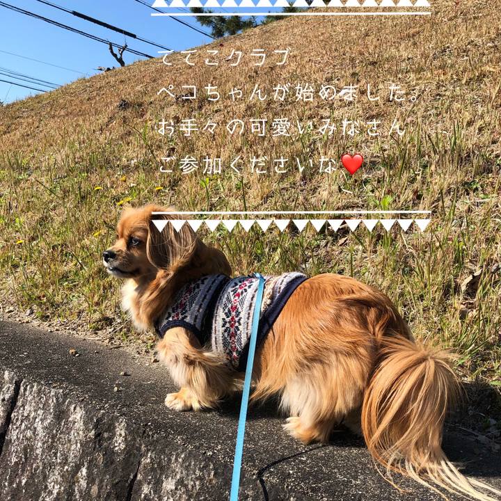 Bf5f778a f77f 4b03 a8d6 045be021968b 1555115404837