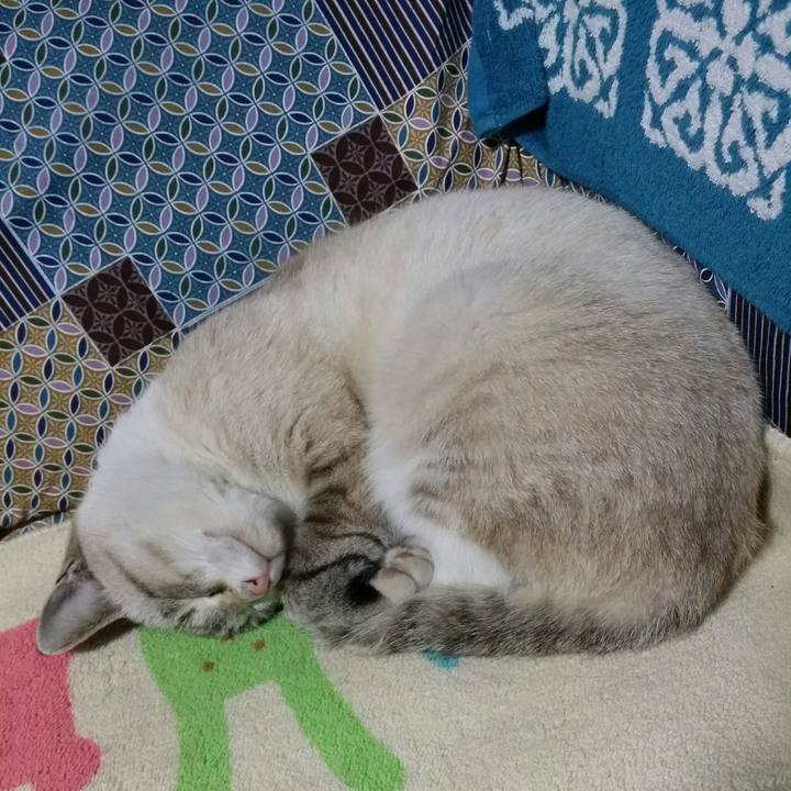 Bf5f8456 76aa 4b07 a7f7 7cb8a5205f78 1515669865898