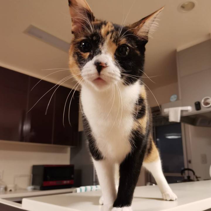 Bf5f925c 4d66 4470 9ec2 8a8294d4c251 1619365306087