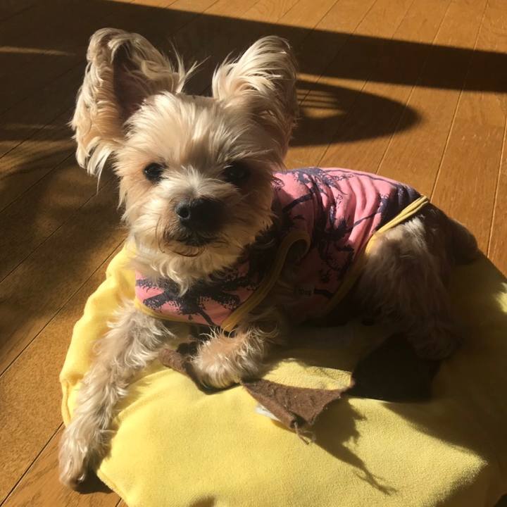 Bf5fe88d 8767 45af b6f8 781ebe02ce57 1581157011930